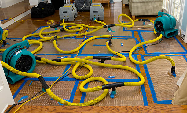 Professional Basement Flood Cleanup technician working in Bloomsbury, NJ