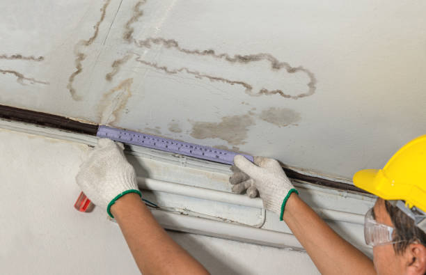 Affordable Water Damage Repair solutions in Bloomsbury, NJ
